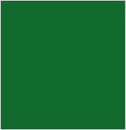 Zielony jasny